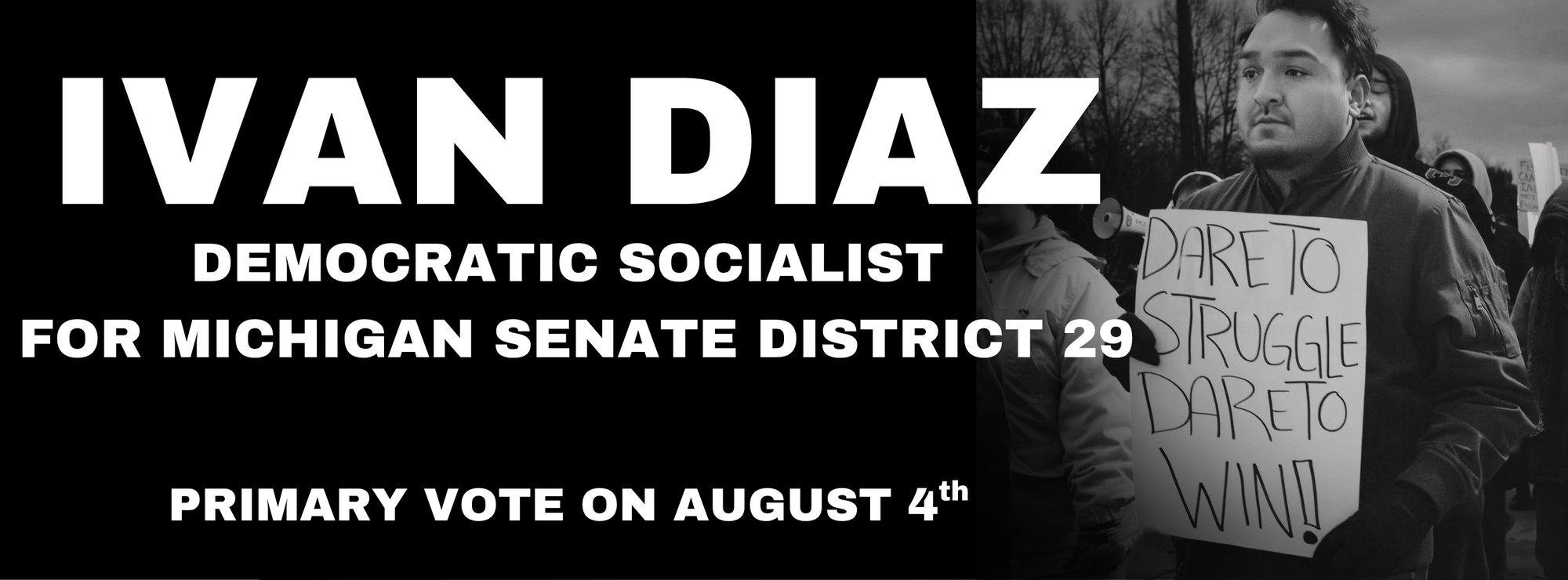 PRIMARY VOTE ON AUGUST 4th FOR MICHIGAN SENATE DISTRICT 29 (4)
